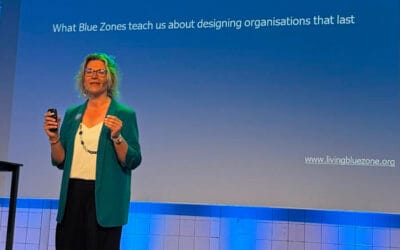 Amersfoort | From Blue Zones to Living Blue Company